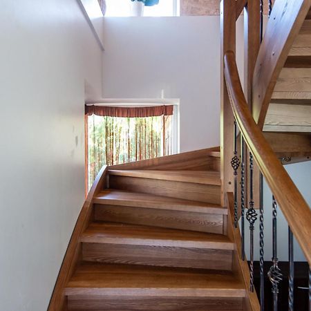 Pas Jolanta Apartment Palanga Luaran gambar